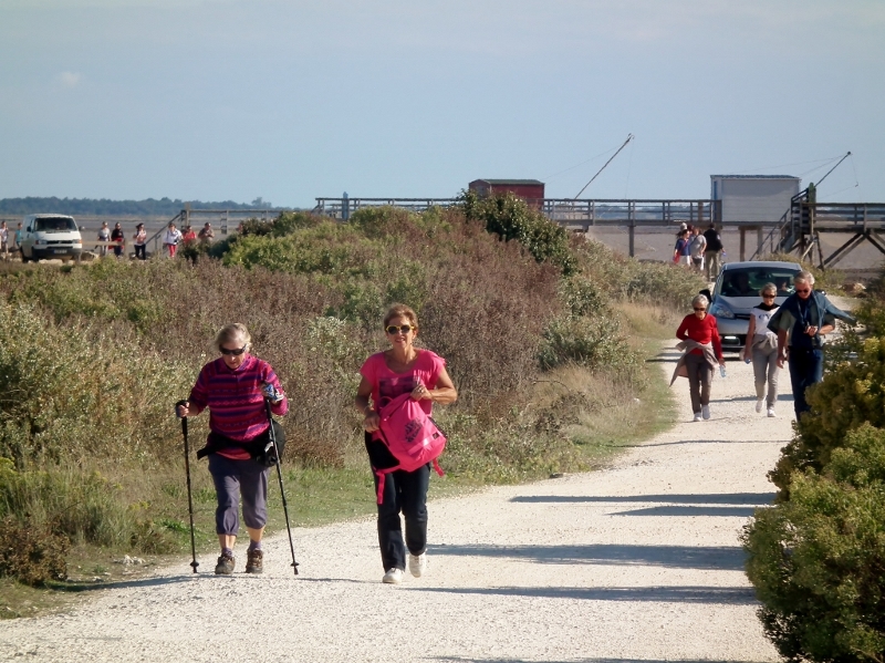 7è balade de l'estuaire 020