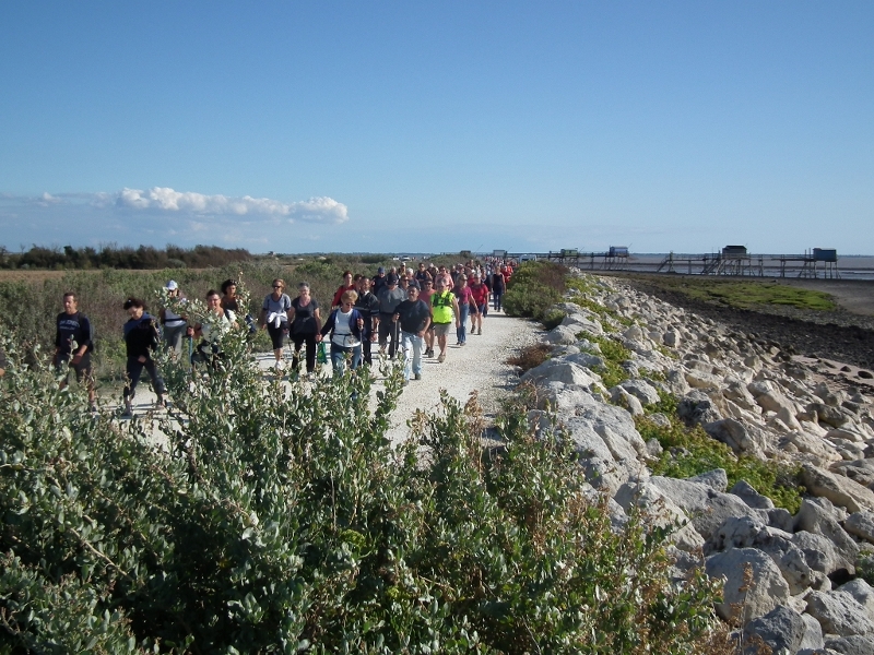 7è balade de l'estuaire 028