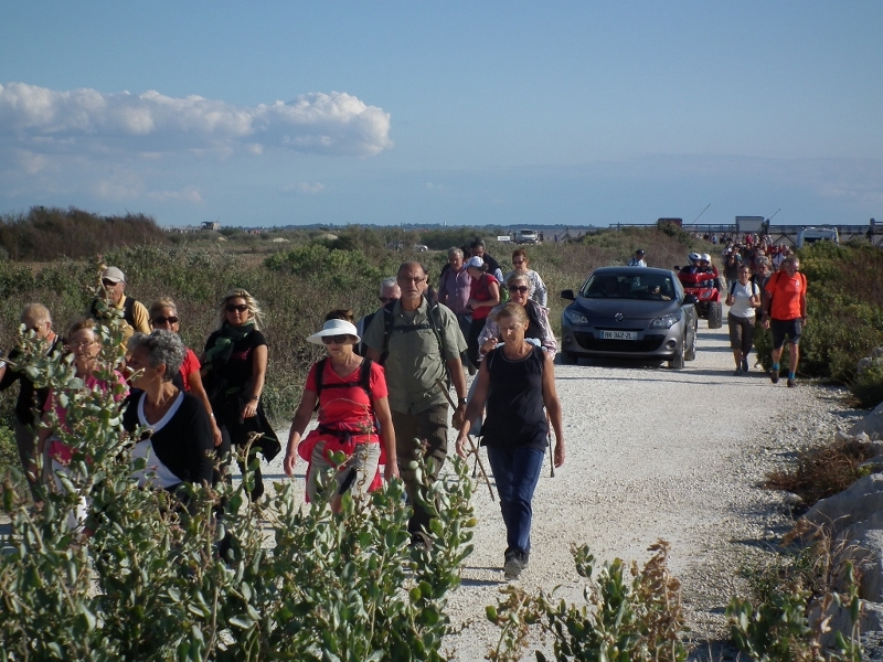 7è balade de l'estuaire 029