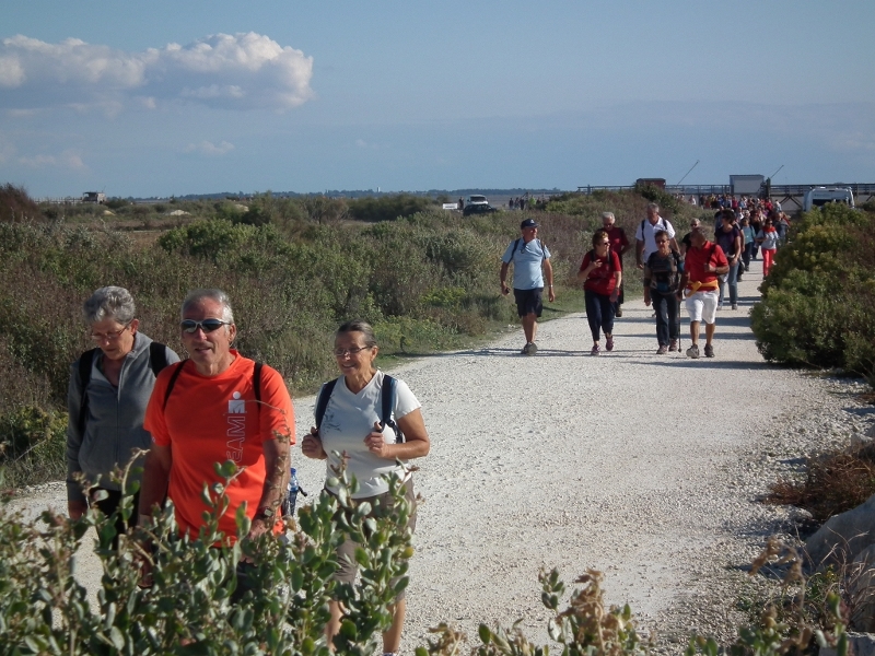 7è balade de l'estuaire 030