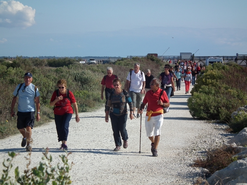 7è balade de l'estuaire 031