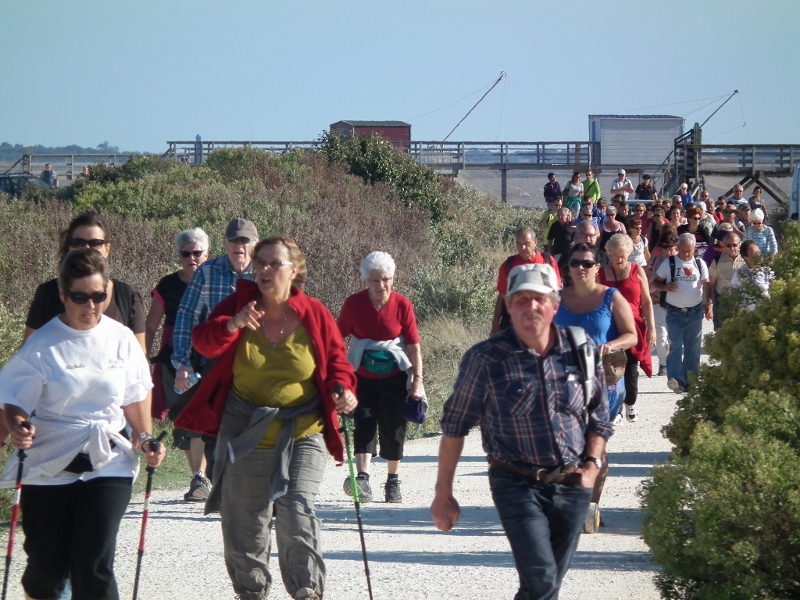 7è balade de l'estuaire 034