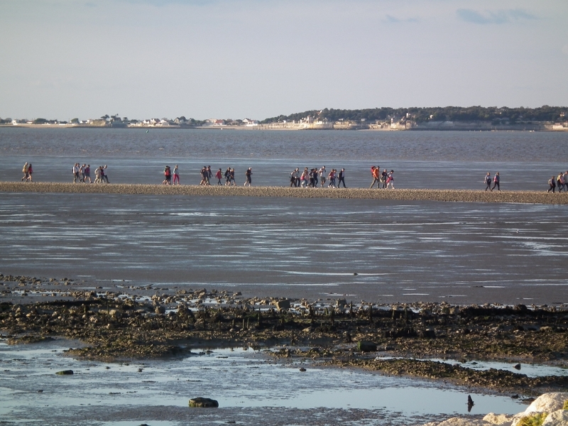 7è balade de l'estuaire 060